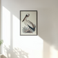 Martha Stewart Lily Pond | Coastal Bird Study: Pelican | Framed Coastal Cottage Wall Art