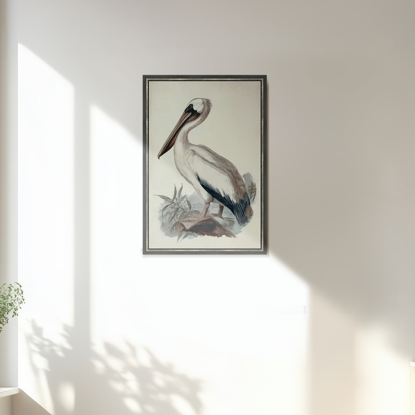 Martha Stewart Lily Pond | Coastal Bird Study: Pelican | Framed Coastal Cottage Wall Art