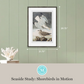 Martha Stewart Lily Pond | Seaside Study: Shorebirds in Motion | Framed Coastal Cottage Wall Art