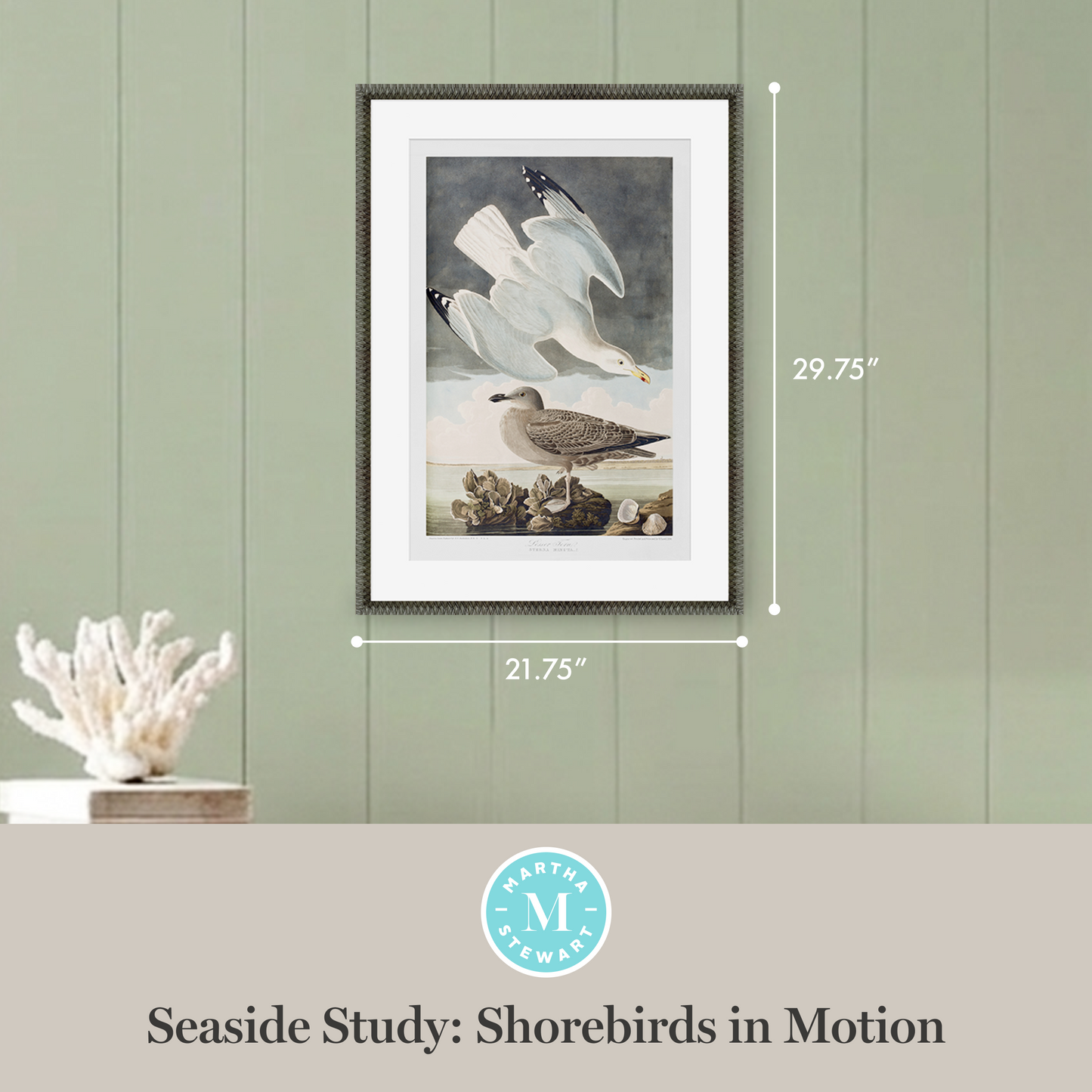 Martha Stewart Lily Pond | Seaside Study: Shorebirds in Motion | Framed Coastal Cottage Wall Art