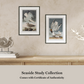 Martha Stewart Lily Pond | Seaside Study: Shorebirds in Motion | Framed Coastal Cottage Wall Art