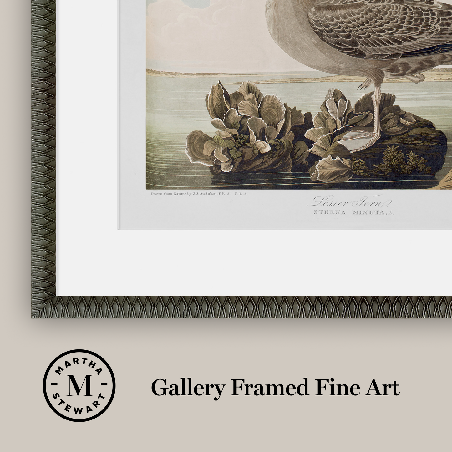Martha Stewart Lily Pond | Seaside Study: Shorebirds in Motion | Framed Coastal Cottage Wall Art