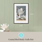 Martha Stewart Lily Pond | Coastal Bird Study: Gulls Pair | Framed Coastal Cottage Wall Art