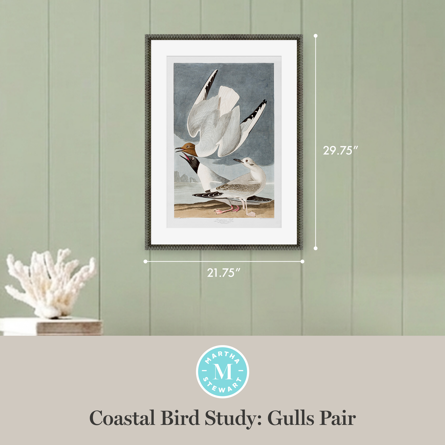 Martha Stewart Lily Pond | Coastal Bird Study: Gulls Pair | Framed Coastal Cottage Wall Art