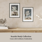 Martha Stewart Lily Pond | Coastal Bird Study: Gulls Pair | Framed Coastal Cottage Wall Art