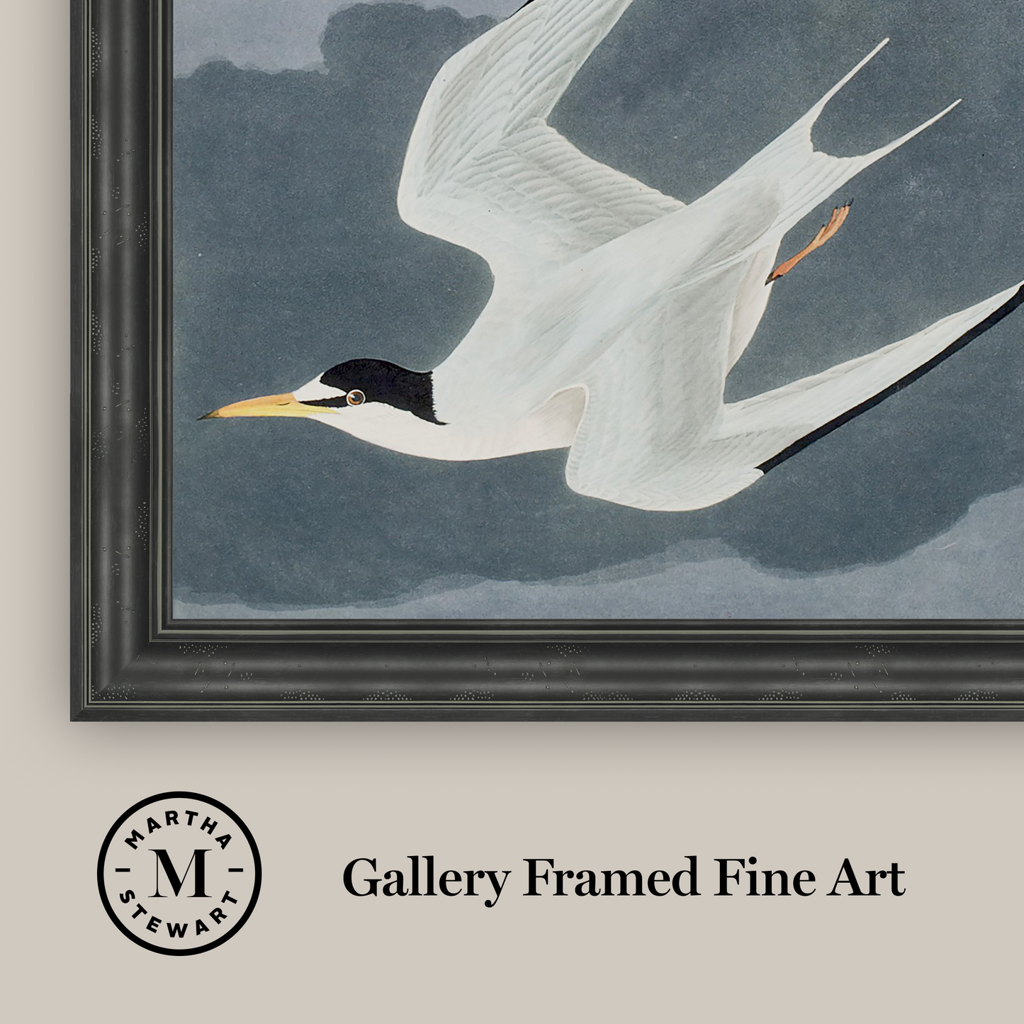 Martha Stewart Lily Pond | Seaside Study: Flying Gulls | Framed Coastal Cottage Wall Art