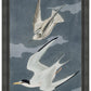Martha Stewart Lily Pond | Seaside Study: Flying Gulls | Framed Coastal Cottage Wall Art