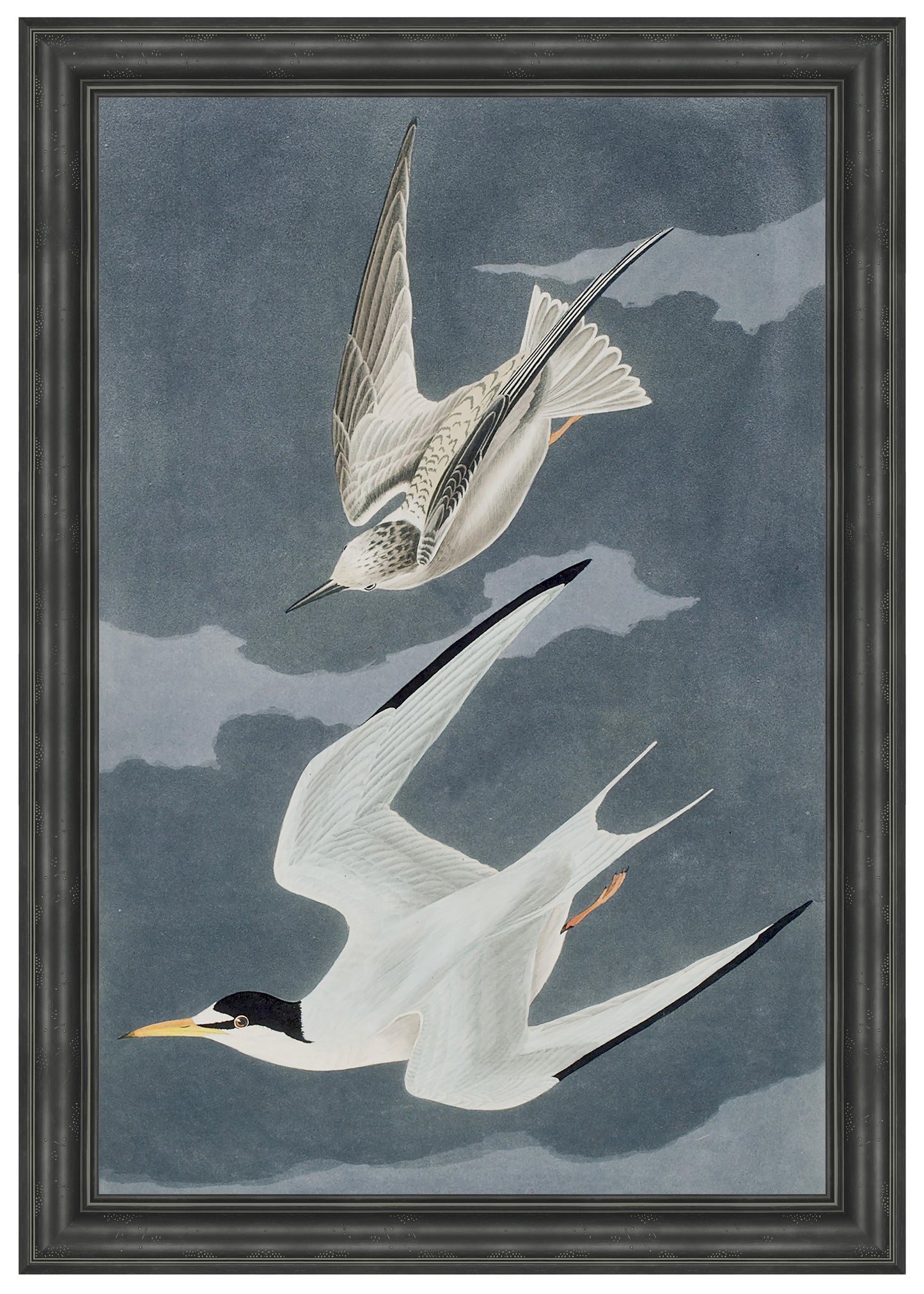 Martha Stewart Lily Pond | Seaside Study: Flying Gulls | Framed Coastal Cottage Wall Art
