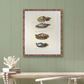 Martha Stewart Lily Pond | Marine Study: Coastal Shell Study | Framed Coastal Cottage Wall Art