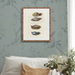 Martha Stewart Lily Pond | Marine Study: Coastal Shell Study | Framed Coastal Cottage Wall Art