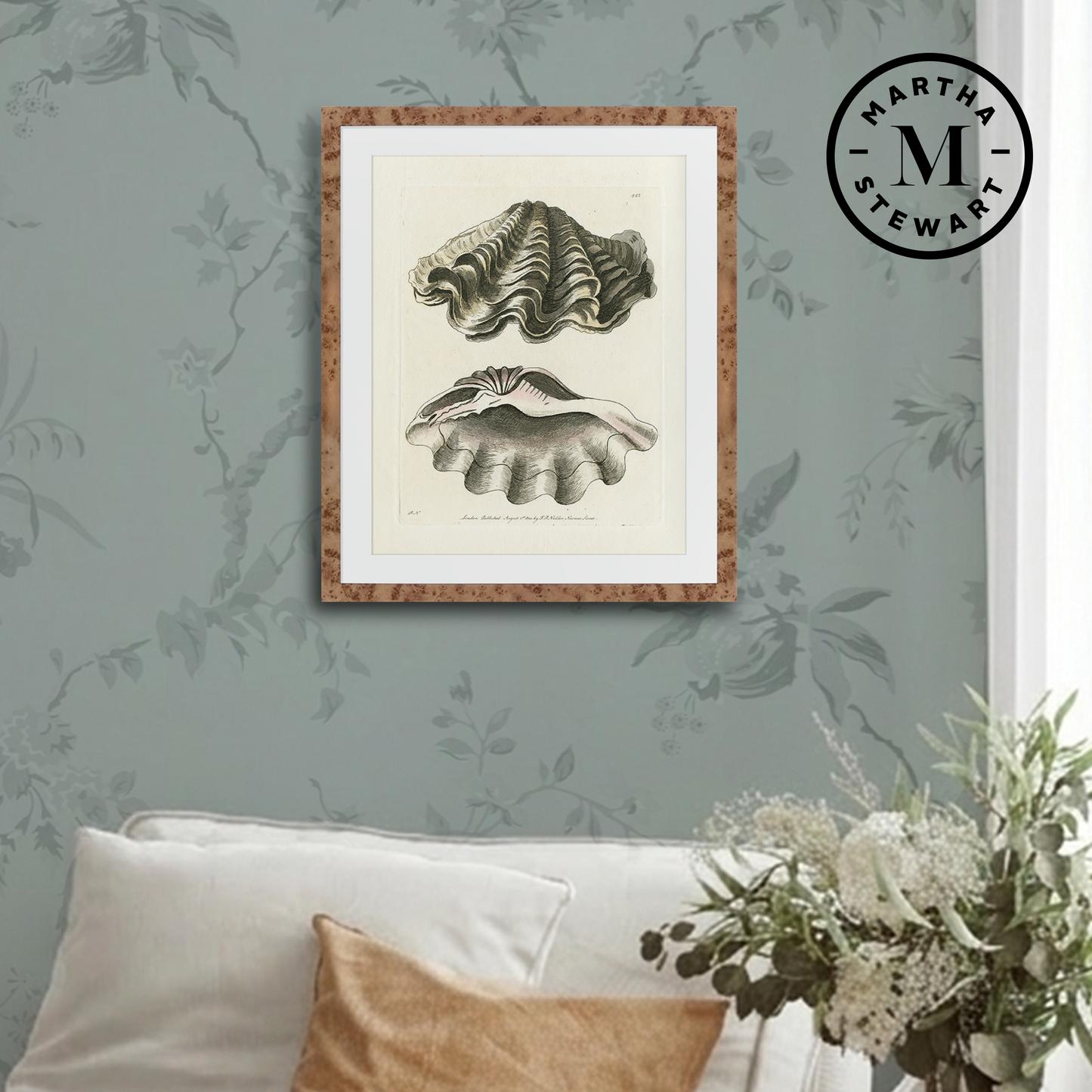 Martha Stewart Lily Pond | Shell Study: Open Clam | Framed Coastal Cottage Wall Art