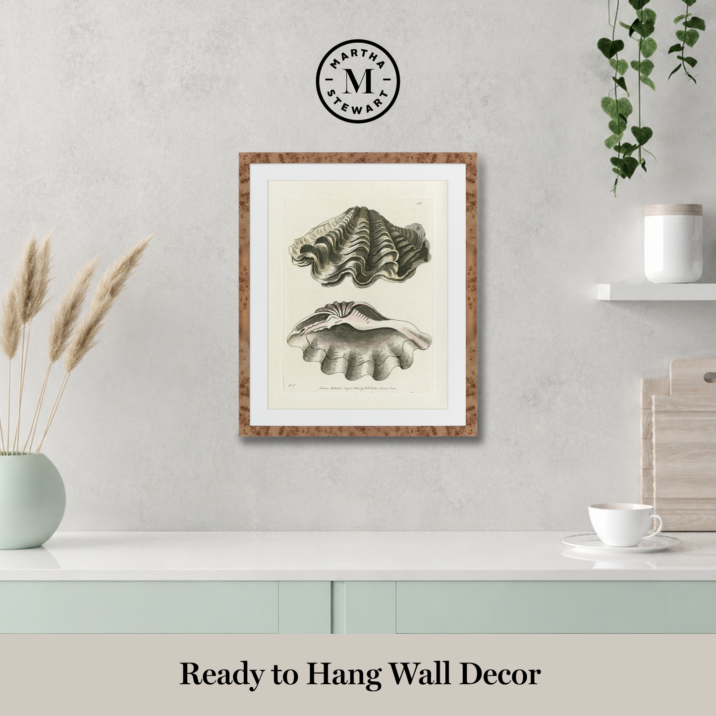 Martha Stewart Lily Pond | Shell Study: Open Clam | Framed Coastal Cottage Wall Art