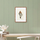 Martha Stewart Lily Pond | Shell Study: Spiral Shell | Framed Coastal Cottage Wall Art