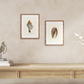 Martha Stewart Lily Pond | Shell Study: Spiral Shell | Framed Coastal Cottage Wall Art