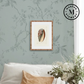 Martha Stewart Lily Pond | Shell Study: Cone Shell | Framed Coastal Cottage Wall Art