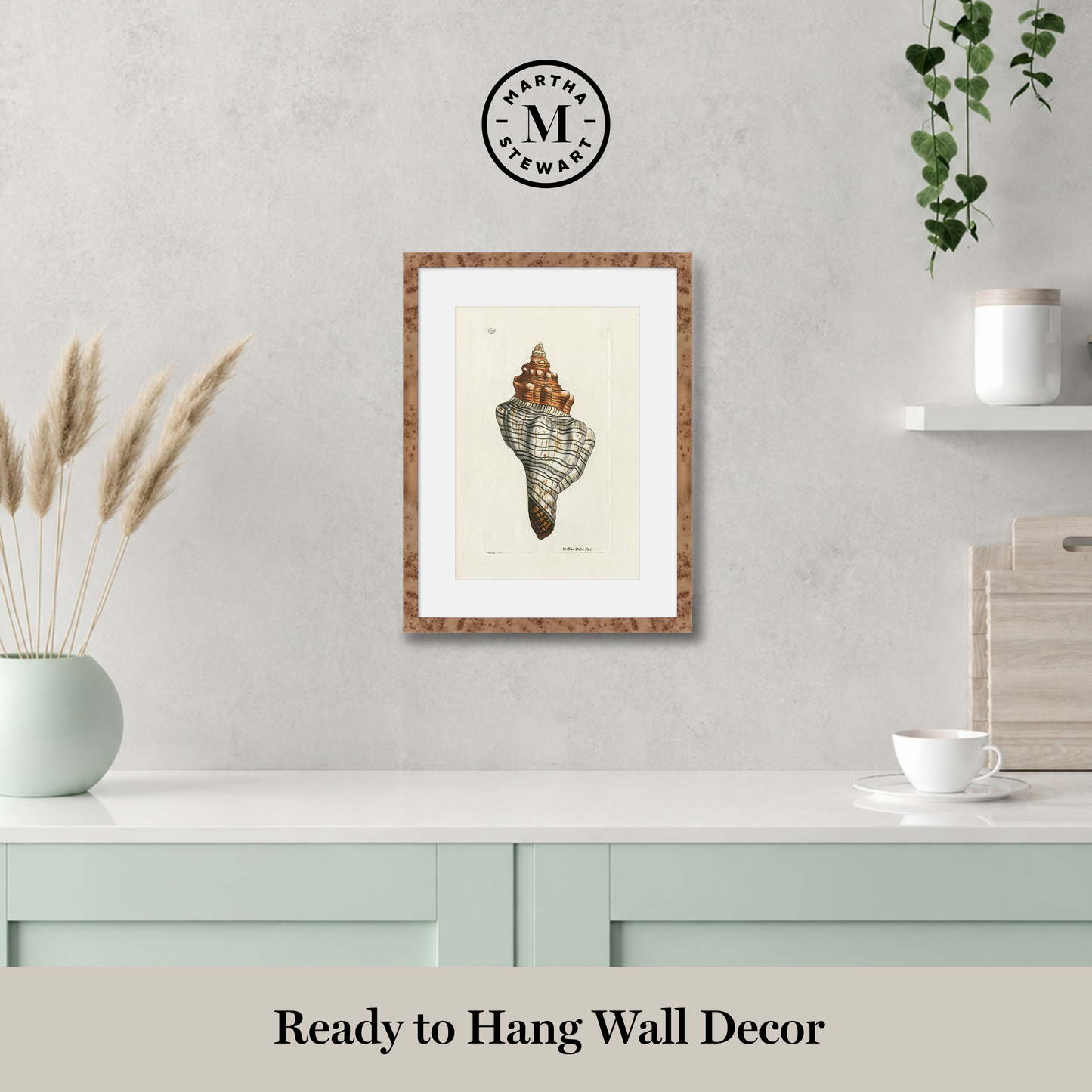 Martha Stewart Lily Pond | Shell Study: Cone Shell | Framed Coastal Cottage Wall Art