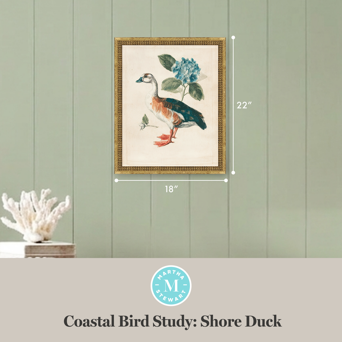 Martha Stewart Lily Pond | Coastal Bird Study: Shore Duck | Framed Coastal Cottage Wall Art