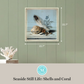 Martha Stewart Lily Pond | Seaside Still Life: Shells and Coral | Framed Coastal Cottage Wall Art
