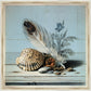 Martha Stewart Lily Pond | Seaside Still Life: Shells and Coral | Framed Coastal Cottage Wall Art