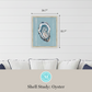 Martha Stewart Lily Pond | Shell Study: Oyster | Framed Coastal Cottage Wall Art