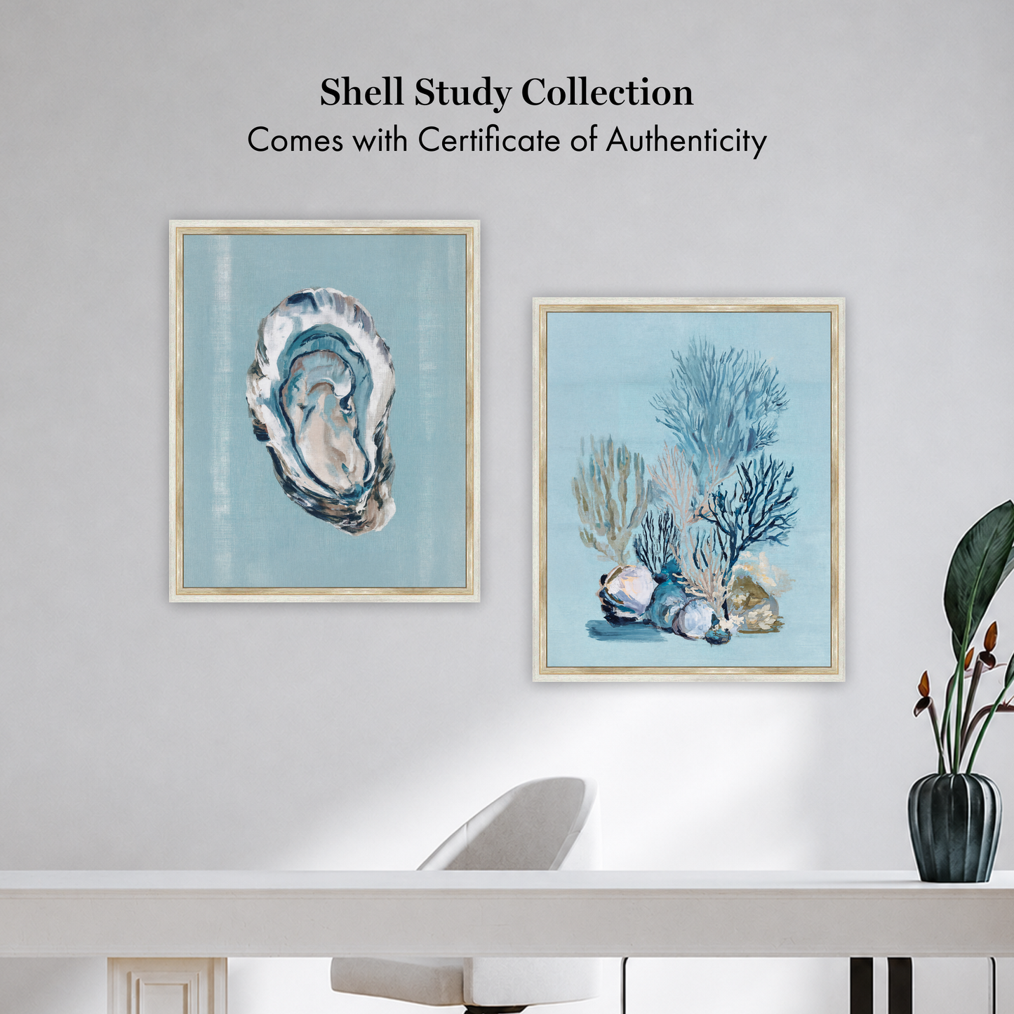 Martha Stewart Lily Pond | Shell Study: Oyster | Framed Coastal Cottage Wall Art