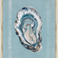 Martha Stewart Lily Pond | Shell Study: Oyster | Framed Coastal Cottage Wall Art