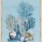 Martha Stewart Lily Pond | Coastal Botanical: Coral Study | Framed Coastal Cottage Wall Art