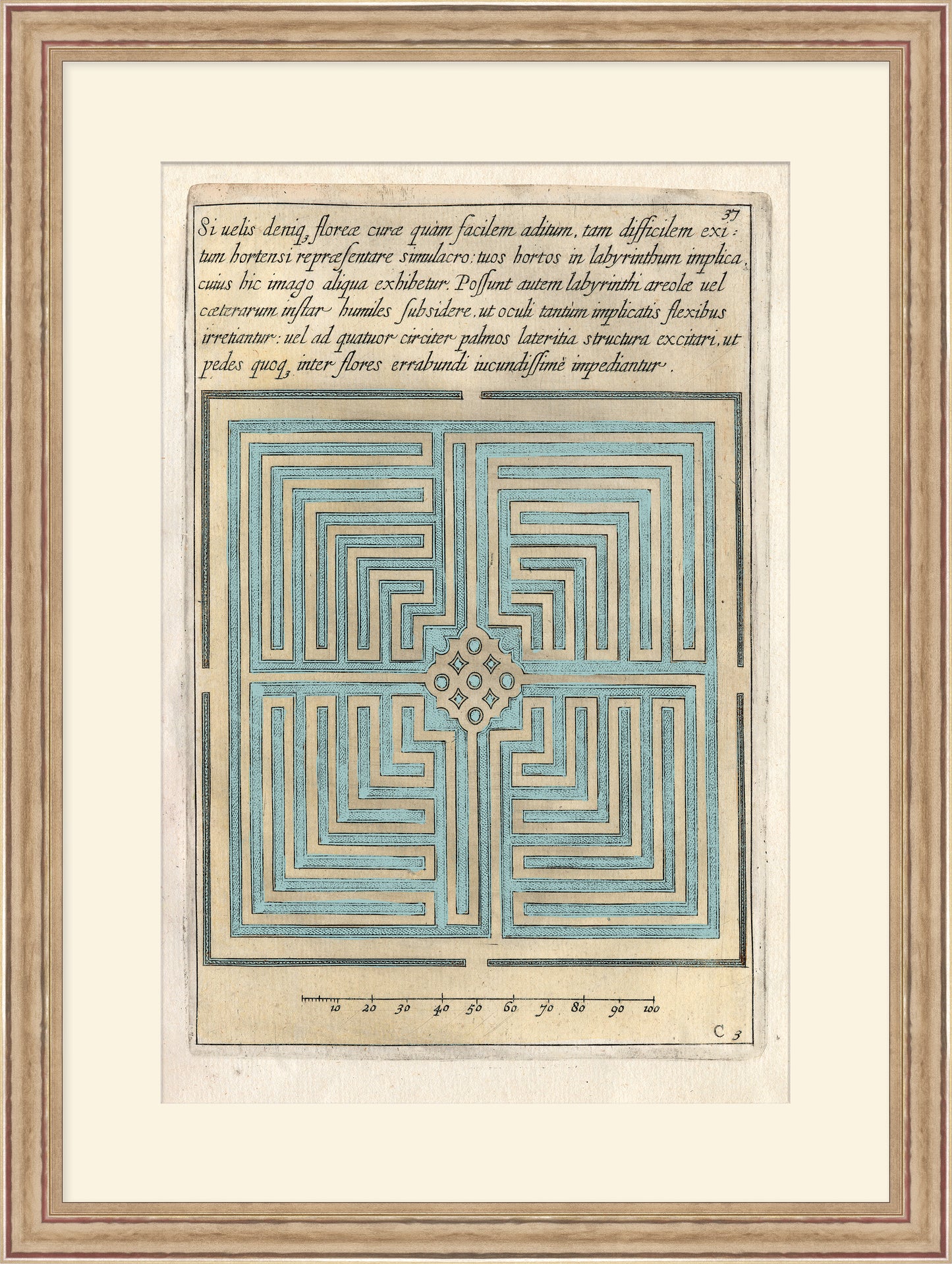 Martha Stewart Lily Pond | Coastal Pattern Study I | Framed Coastal Cottage Wall Art
