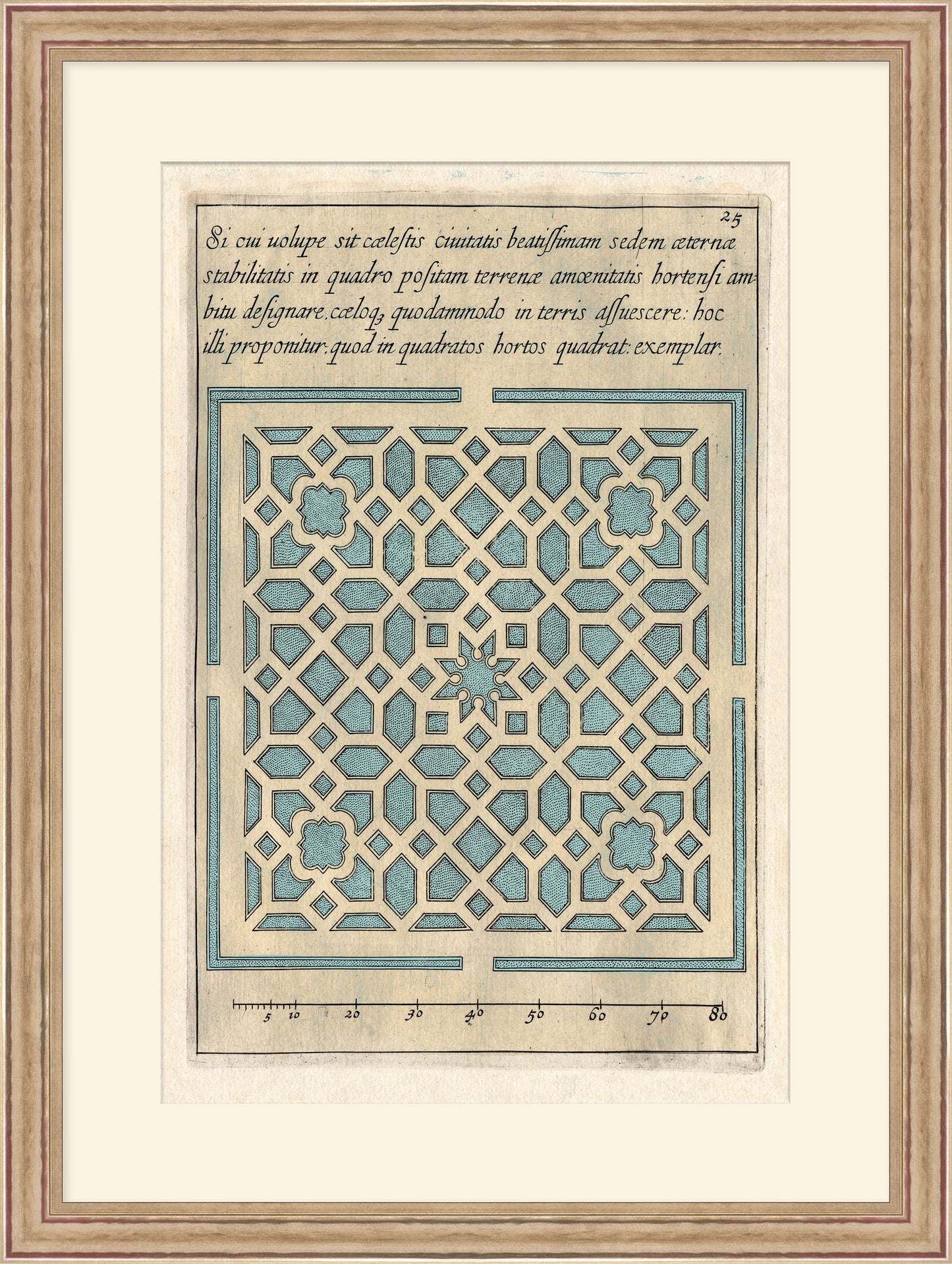 Martha Stewart Lily Pond | Coastal Pattern Study II | Framed Coastal Cottage Wall Art