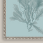 Martha Stewart Lily Pond | Coastal Botanical: Sea Glass I | Framed Coastal Cottage Wall Art