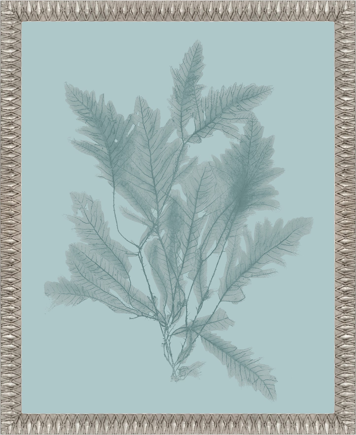 Martha Stewart Lily Pond | Coastal Botanical: Sea Glass I | Framed Coastal Cottage Wall Art