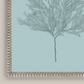 Martha Stewart Lily Pond | Coastal Botanical: Sea Glass II | Framed Coastal Cottage Wall Art