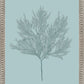 Martha Stewart Lily Pond | Coastal Botanical: Sea Glass II | Framed Coastal Cottage Wall Art