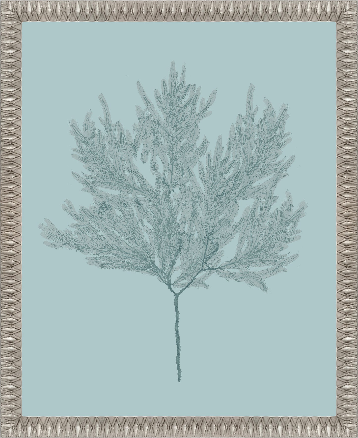 Martha Stewart Lily Pond | Coastal Botanical: Sea Glass II | Framed Coastal Cottage Wall Art