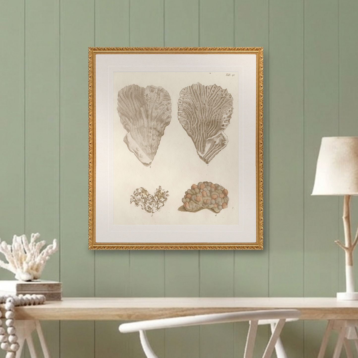 Martha Stewart Lily Pond | Coastal Shell Study: Plate Pair | Framed Coastal Cottage Wall Art