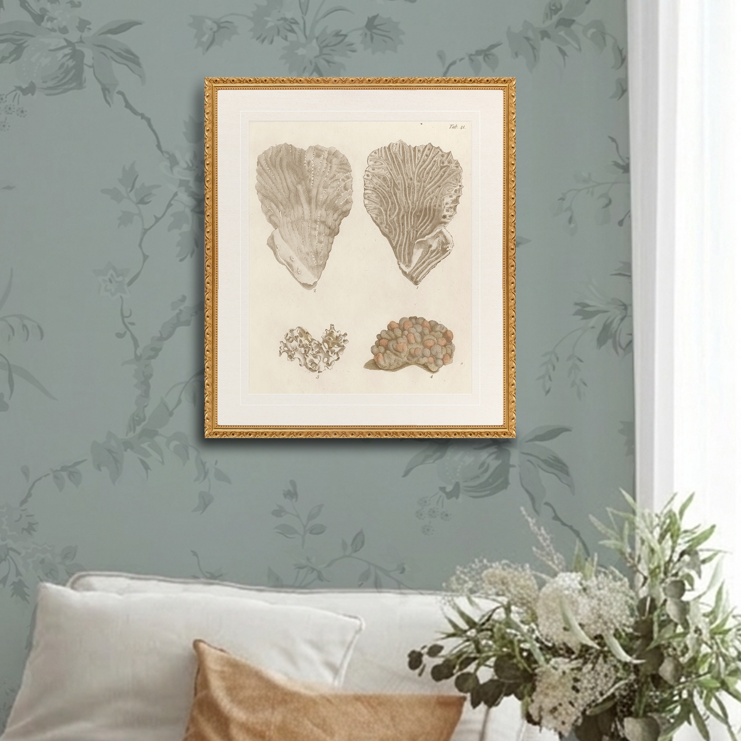 Martha Stewart Lily Pond | Coastal Shell Study: Plate Pair | Framed Coastal Cottage Wall Art
