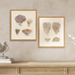 Martha Stewart Lily Pond | Coastal Shell Study: Plate Pair | Framed Coastal Cottage Wall Art