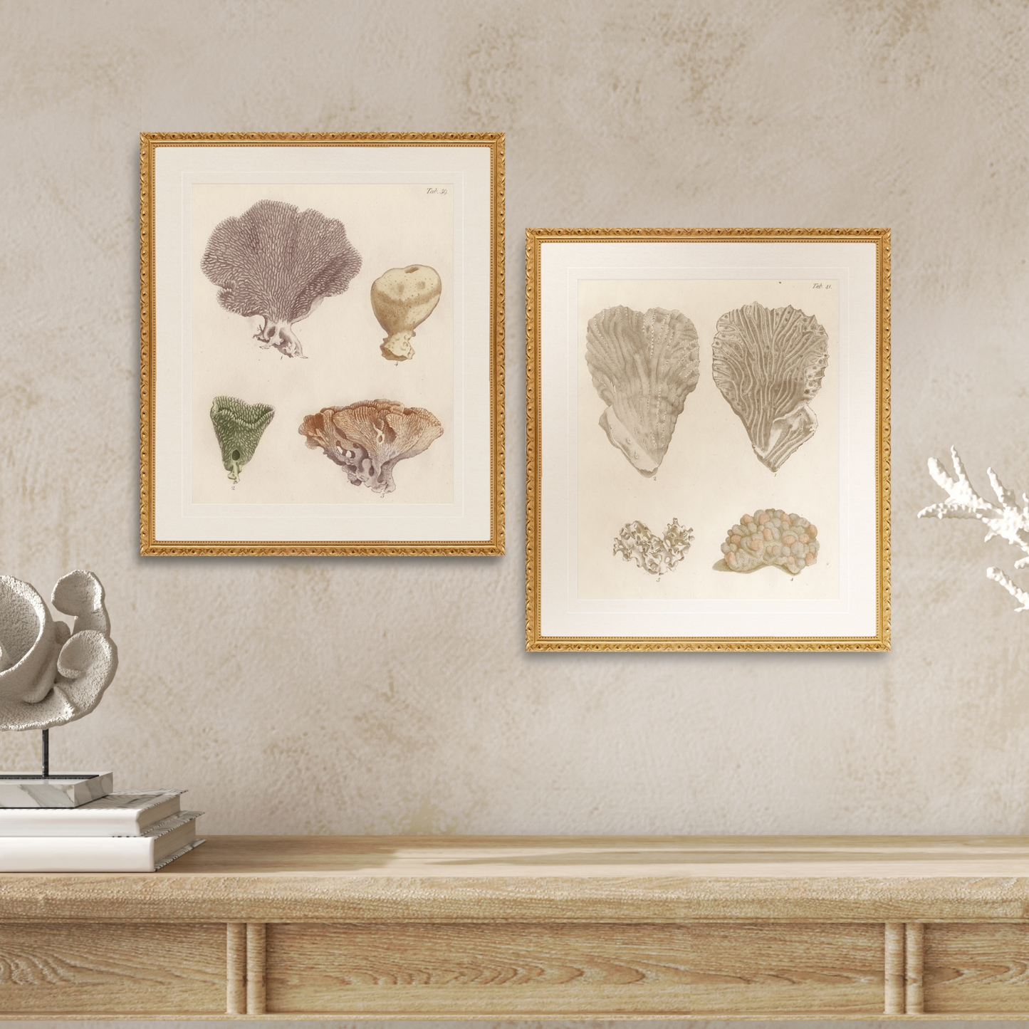 Martha Stewart Lily Pond | Coastal Shell Study: Plate Pair | Framed Coastal Cottage Wall Art