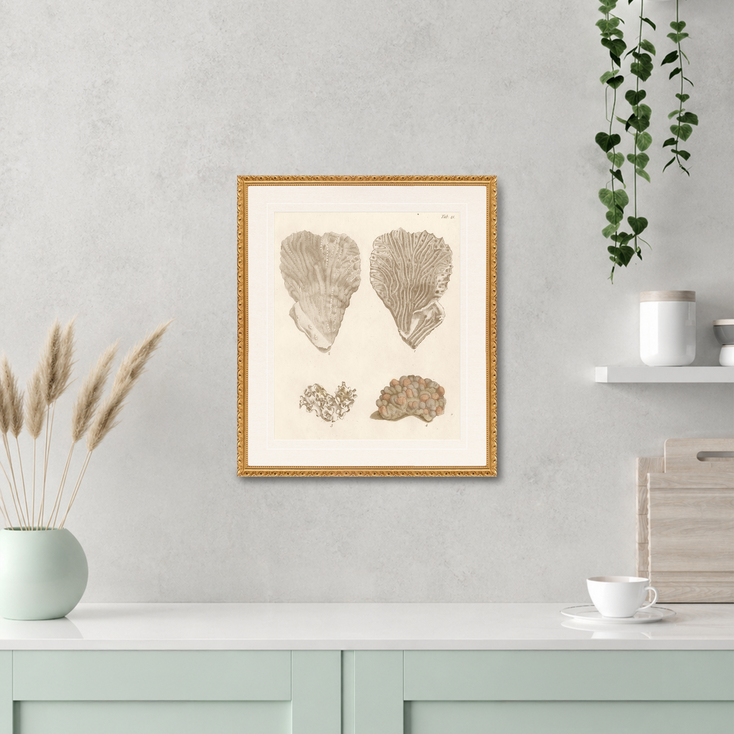 Martha Stewart Lily Pond | Coastal Shell Study: Plate Pair | Framed Coastal Cottage Wall Art