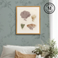 Martha Stewart Lily Pond | Coastal Shell Study: Collection II | Framed Coastal Cottage Wall Art