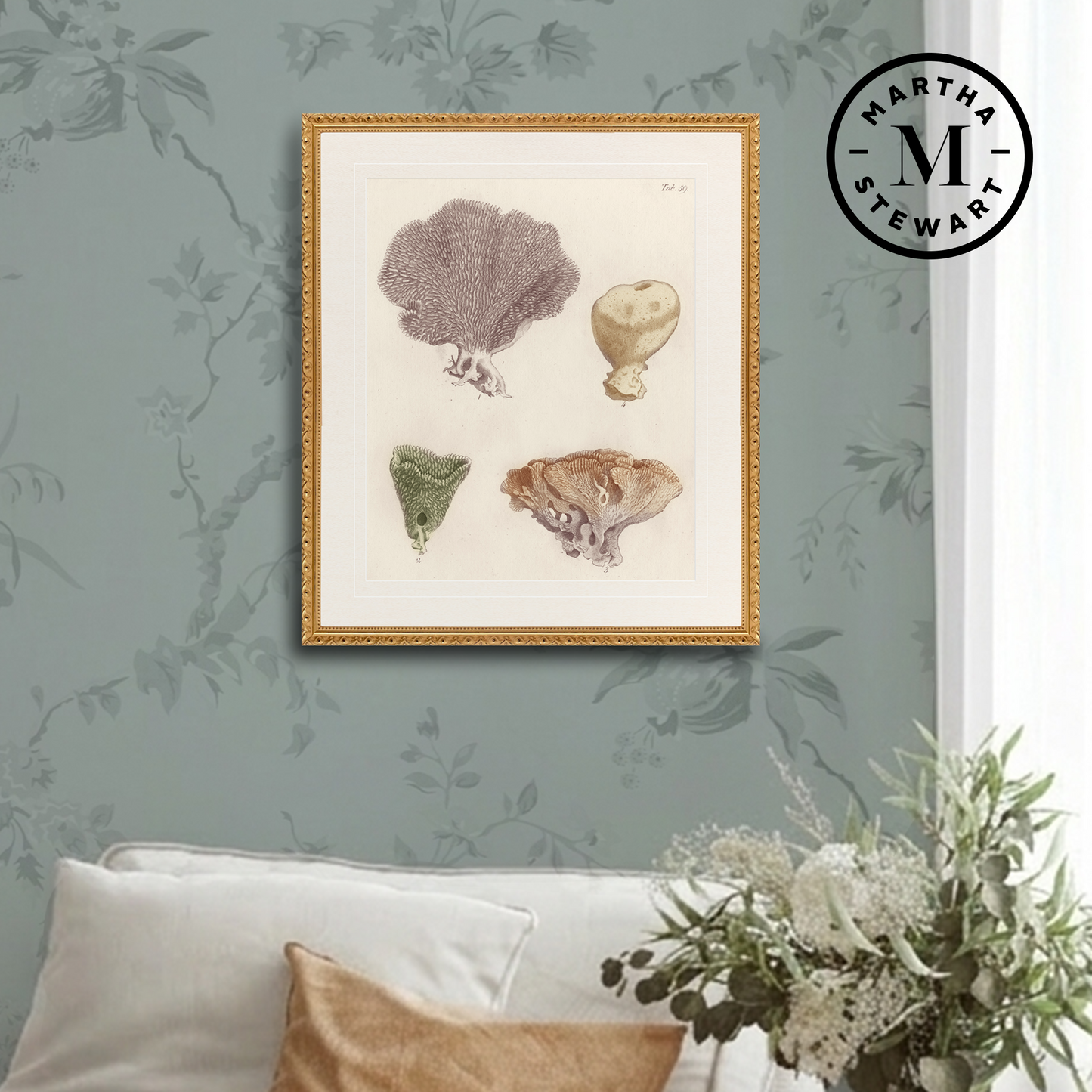 Martha Stewart Lily Pond | Coastal Shell Study: Collection II | Framed Coastal Cottage Wall Art
