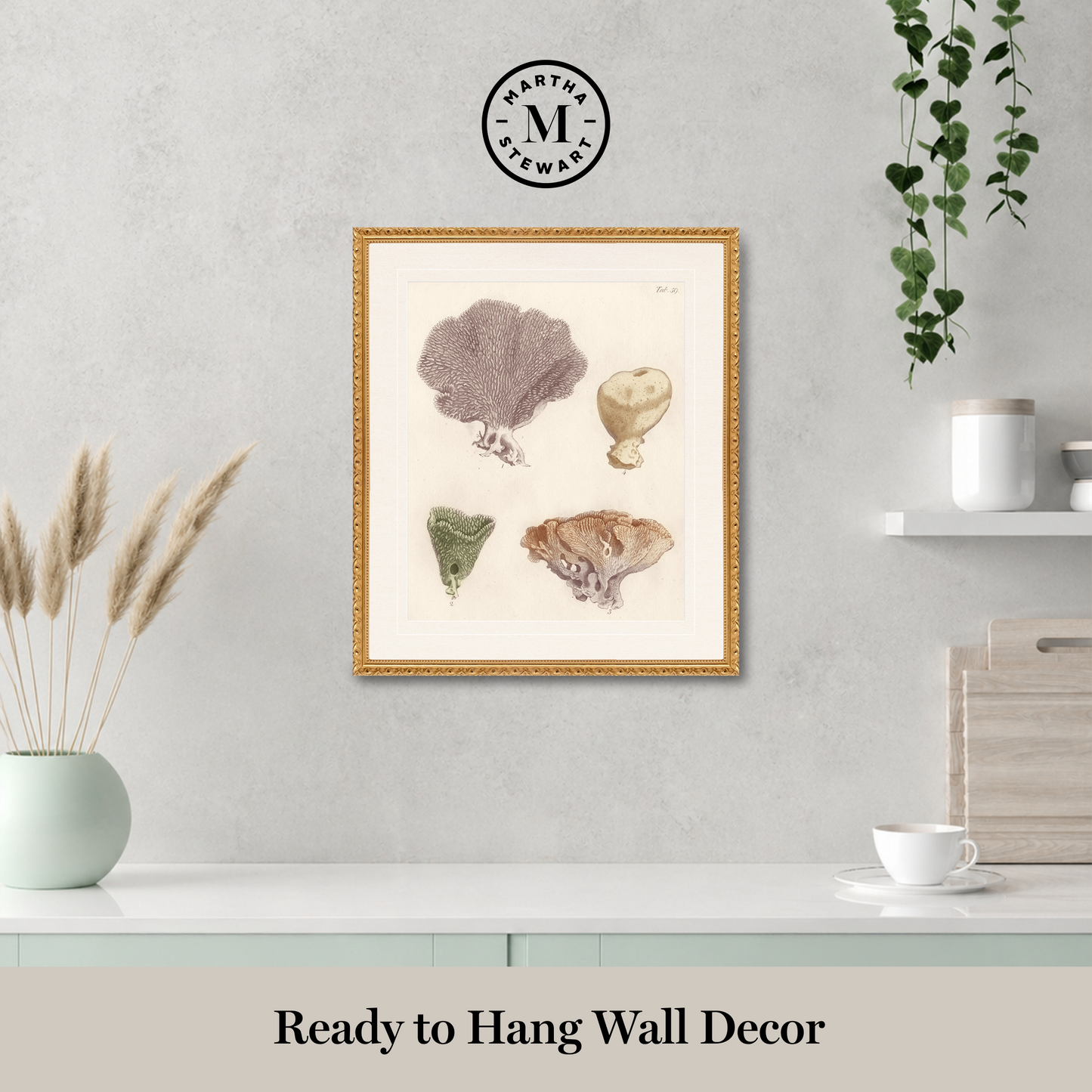 Martha Stewart Lily Pond | Coastal Shell Study: Collection II | Framed Coastal Cottage Wall Art