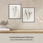Martha Stewart Lily Pond | Coastal Botanical: Seaweed Study I | Framed Coastal Cottage Wall Art