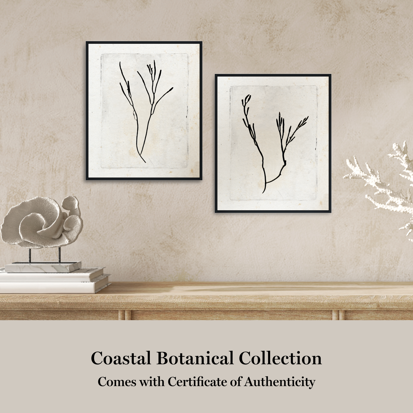 Martha Stewart Lily Pond | Coastal Botanical: Seaweed Study I | Framed Coastal Cottage Wall Art