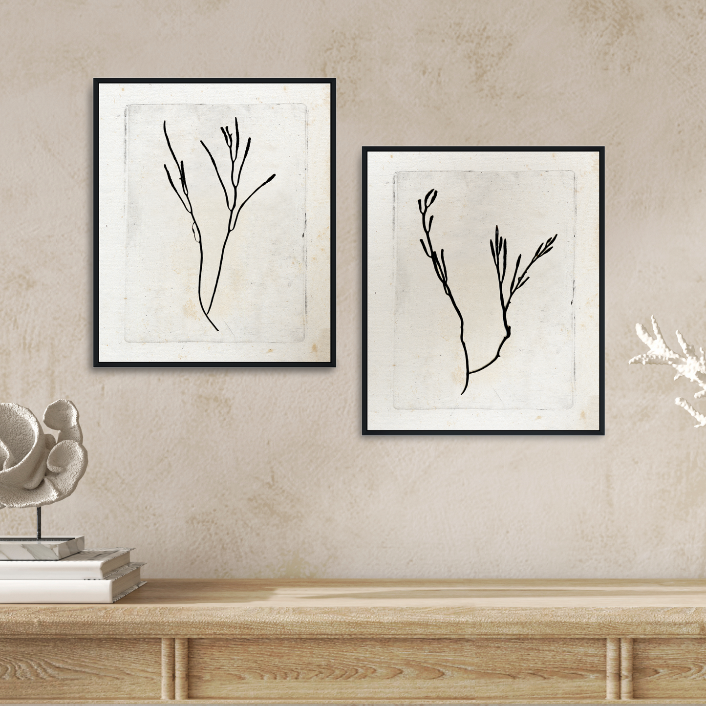 Martha Stewart Lily Pond | Coastal Botanical: Seaweed Study II | Framed Coastal Cottage Wall Art