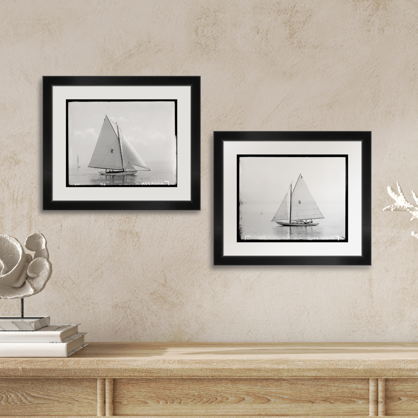 Martha Stewart Lily Pond | Nautical Photography: Sailboat II | Framed Coastal Cottage Wall Art