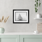 Martha Stewart Lily Pond | Nautical Photography: Sailboat II | Framed Coastal Cottage Wall Art