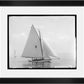Martha Stewart Lily Pond | Nautical Photography: Sailboat II | Framed Coastal Cottage Wall Art