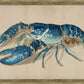 Martha Stewart Lily Pond | Marine Study: Lobster | Framed Coastal Cottage Wall Art