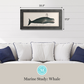 Martha Stewart Lily Pond | Marine Study: Whale | Framed Coastal Cottage Wall Art